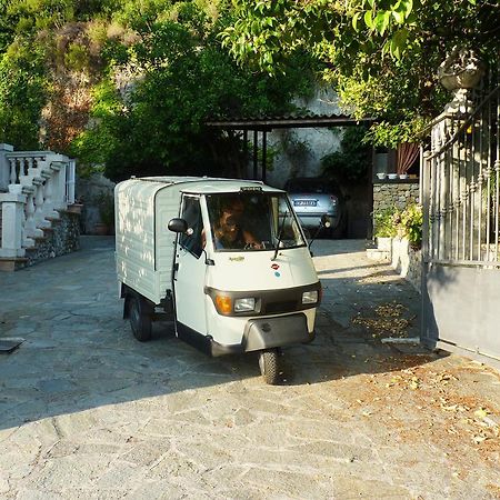 La Tana Del Tasso Ventimiglia B&B 외부 사진