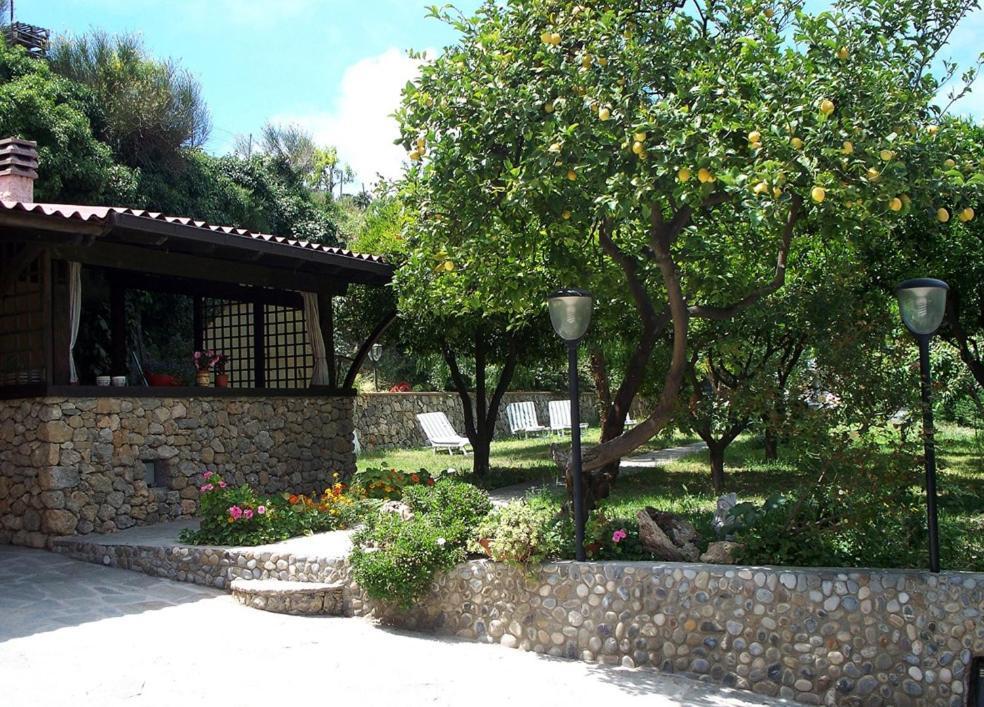 La Tana Del Tasso Ventimiglia B&B 외부 사진