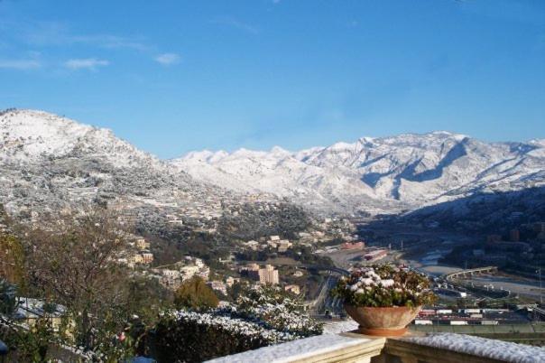 La Tana Del Tasso Ventimiglia B&B 외부 사진