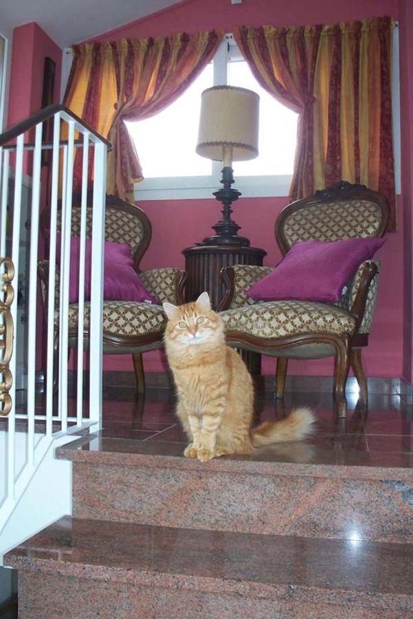 La Tana Del Tasso Ventimiglia B&B 외부 사진