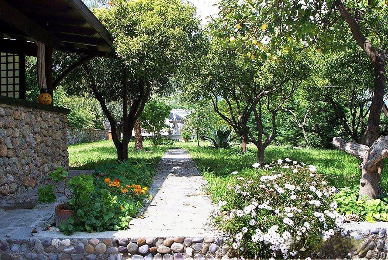 La Tana Del Tasso Ventimiglia B&B 외부 사진
